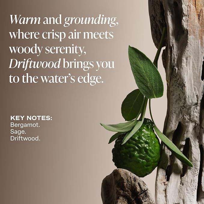 Saltair Multi-Lipid Body Butter - Rich, Nourishing Hydrating Body Cream with Ceramide Complex, Coconut Oil, Shea Butter, and Sea Buckthorn. Moisturizing Dry Skin Care. 10oz Jar - Driftwood