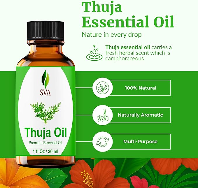 SVA Thuja Essential Oil – 1 Fl Oz – 100% Natural Thuja Oil - for Diffuser, Hair Care, Face, Skin Care, Aromatherapy, Scalp and Body Massage, Soap and Candle Making - with Dropper