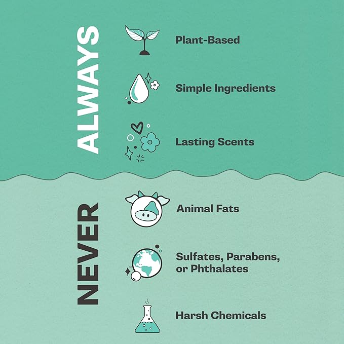 Buff City Soap Plant-Based Body Wash- Coconut Cleansers & Almond Oil Infused, Gentle & Rich Non-Drying Lather, Helps Reduce Moisture Loss & Supports Skin Barrier-Good Morning Sunshine, 12 fl oz