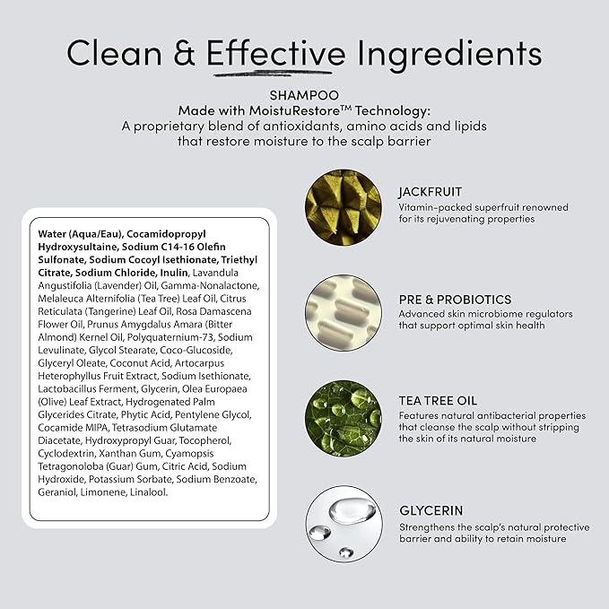 Jupiter Hydrating Shampoo and Conditioner Set – Moisturizing, Nourishing, and Strengthening Hair Care – Daily Scalp & Hair Hydration – Color-Safe, Sulfate-Free, Paraben-Free, 9.5 fl. oz. each