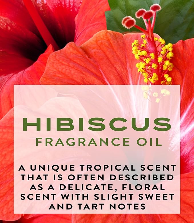 Botanical Beauty HIBISCUS FRAGRANCE OIL ROLL-ON 0.169 FL OZ (5 ML) Rollerball Perfume, Alcohol-Free, Long Lasting